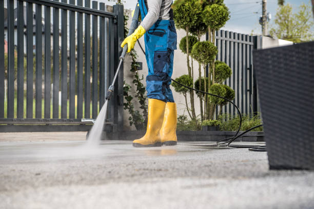 Best Building Exterior Pressure Washing in Fanning Springs, FL